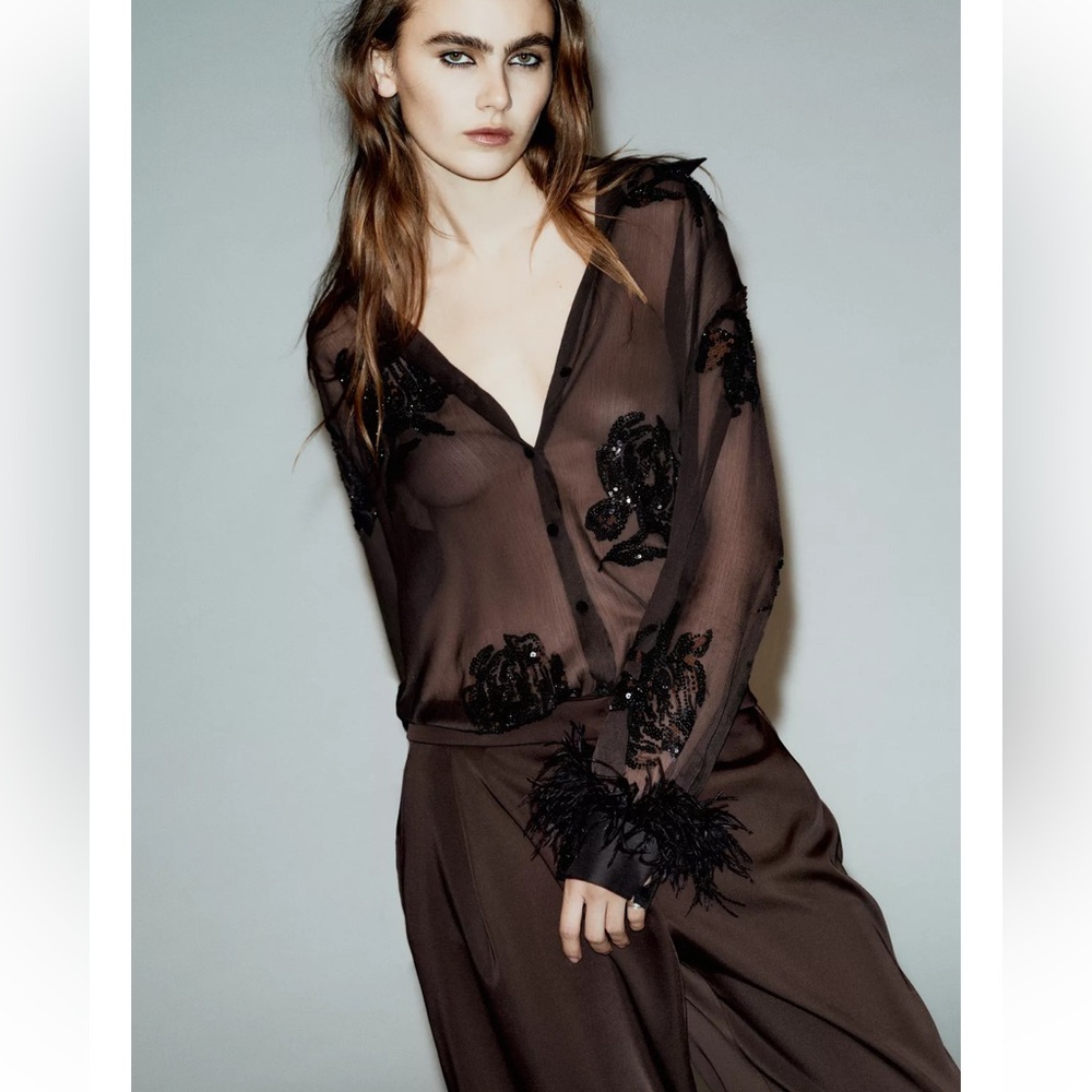 Zara Semi Sheer Sequin Feather Blouse Brown